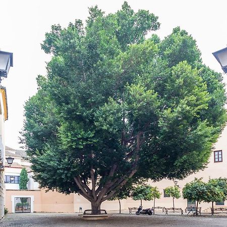 Alohamundi Escuelas Pias Севілья Екстер'єр фото